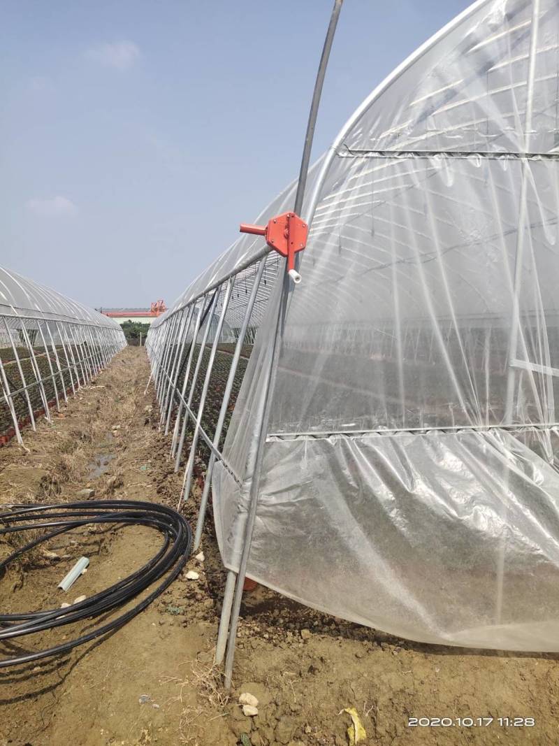 大棚钢管骨架农业养殖种植花卉水果蔬菜单体大棚热镀锌