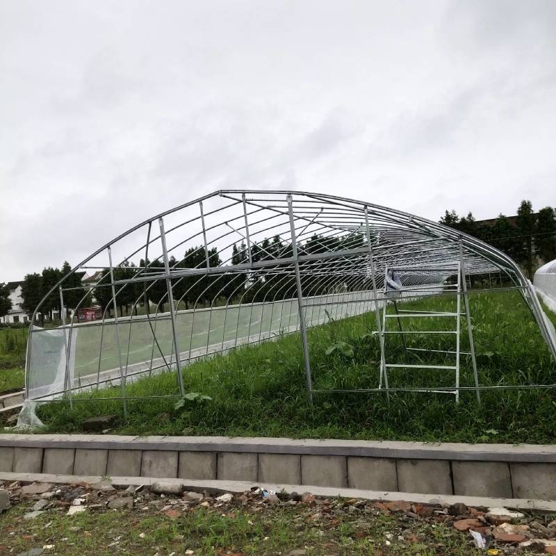 大棚钢管骨架农业养殖种植花卉水果蔬菜单体大棚热镀锌