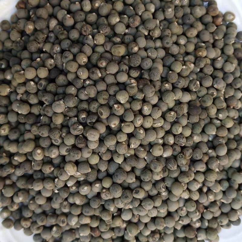 药用黄秋葵籽正品秋葵子中药材黄秋葵子秋葵籽黄蜀秋葵子
