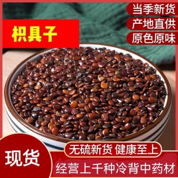 枳椇子中药材购销经营各类中药材保证质量
