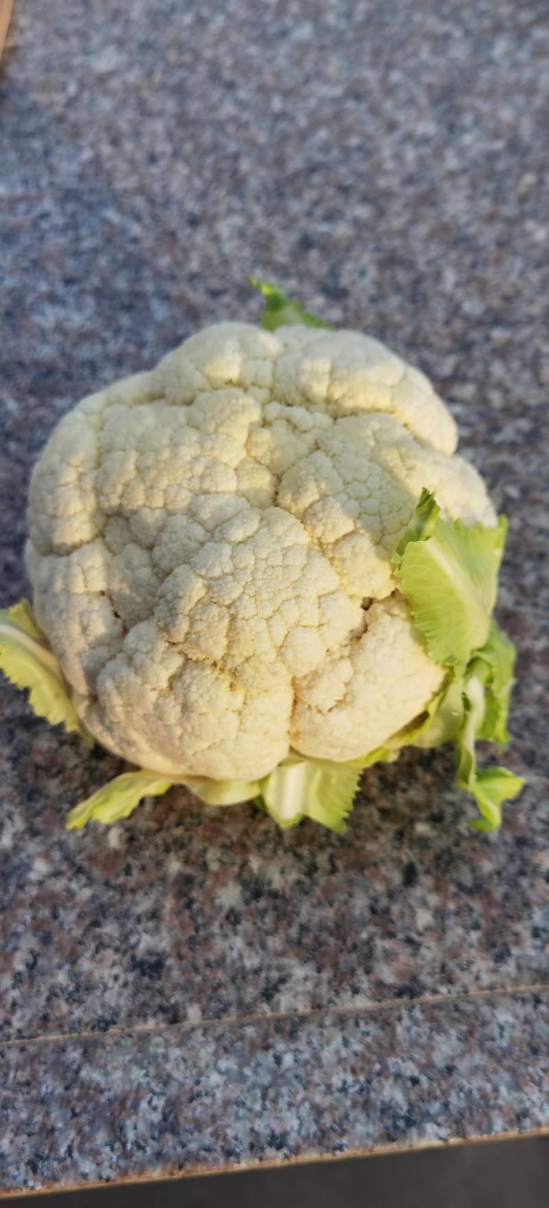 蔬菜礼包，崇明本地蔬菜，新鲜蔬菜上海蔬菜礼包