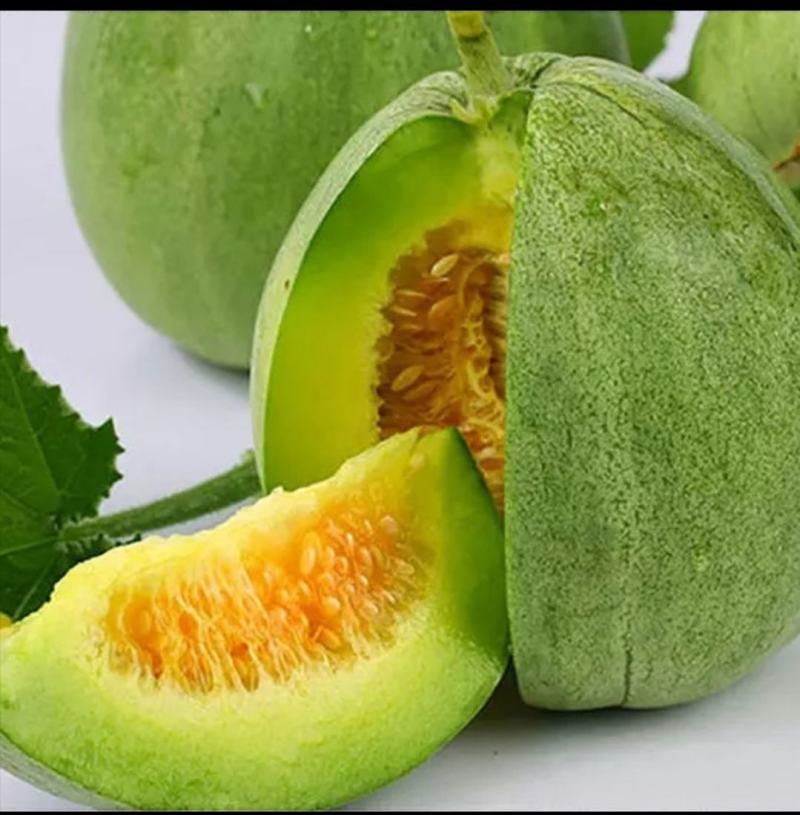 绿宝石9号甜瓜