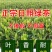 【春茶礼盒】2022年日照绿茶礼盒装送礼必备