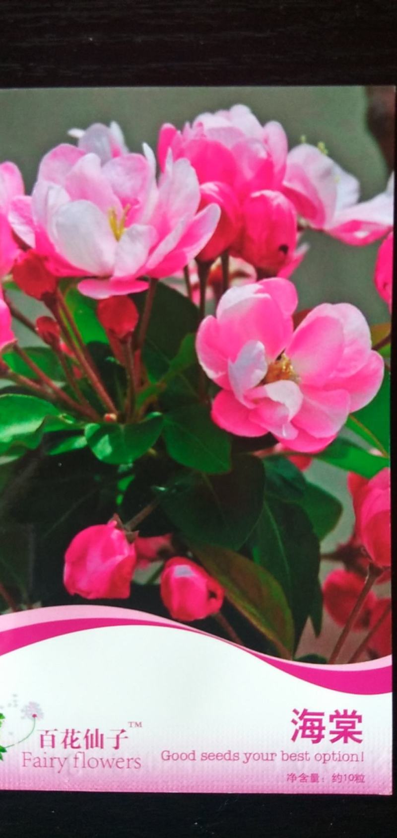 三色堇种子家庭彩包多品种选择随意搭配8元一袋量大优惠