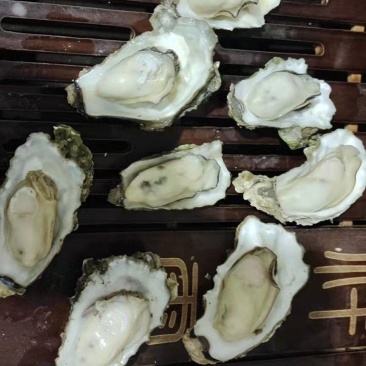 曹妃甸人工手捡货保肥保无沙找合作伙伴