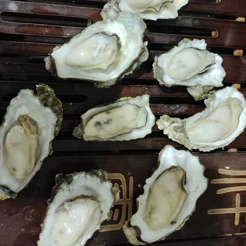 曹妃甸人工手捡货保肥保无沙找合作伙伴