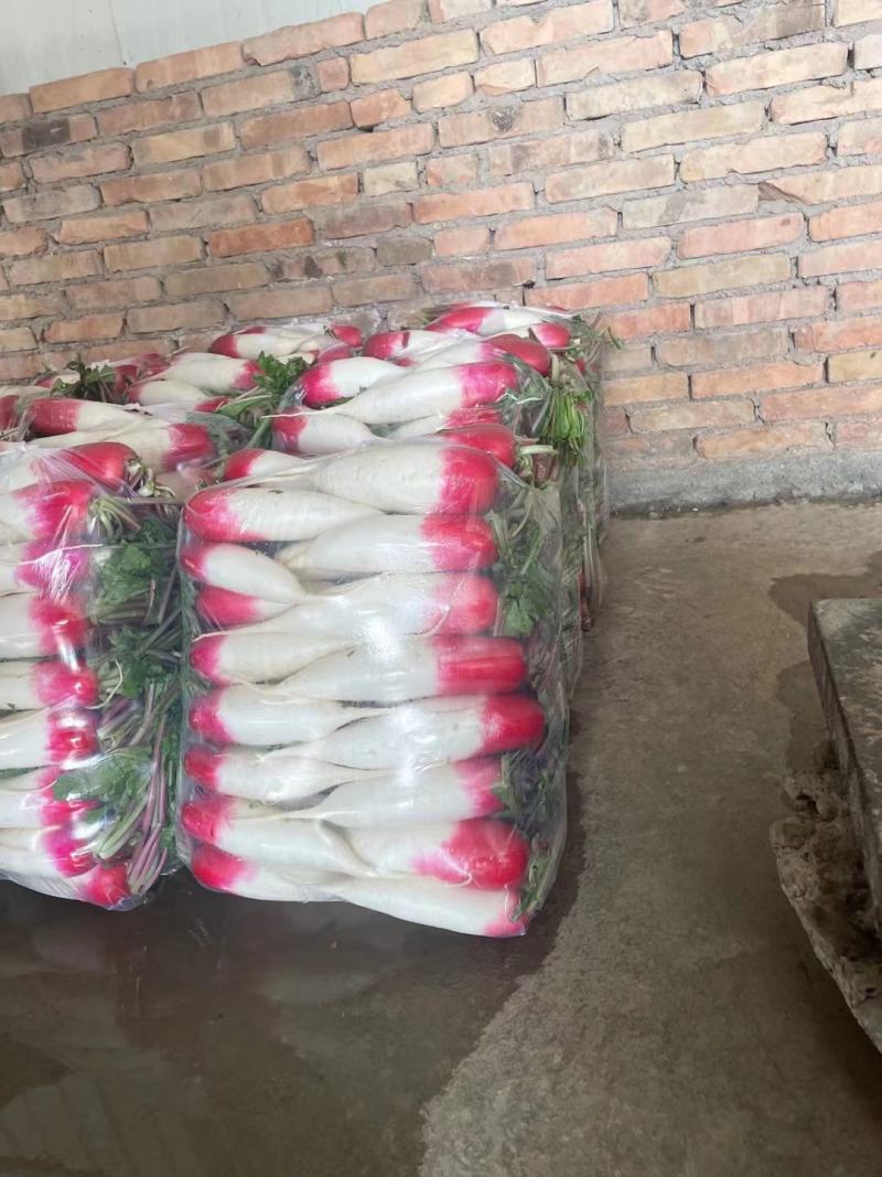 （优质精选）靓货靓货精品水洗花樱萝卜，红皮萝卜