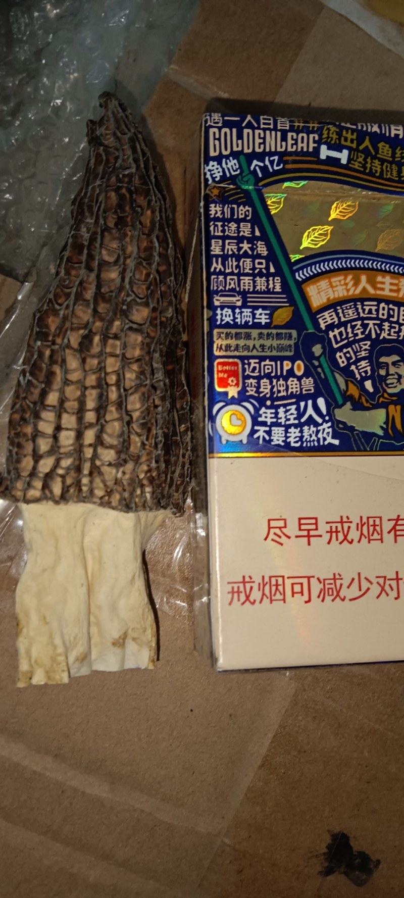 羊肚菌