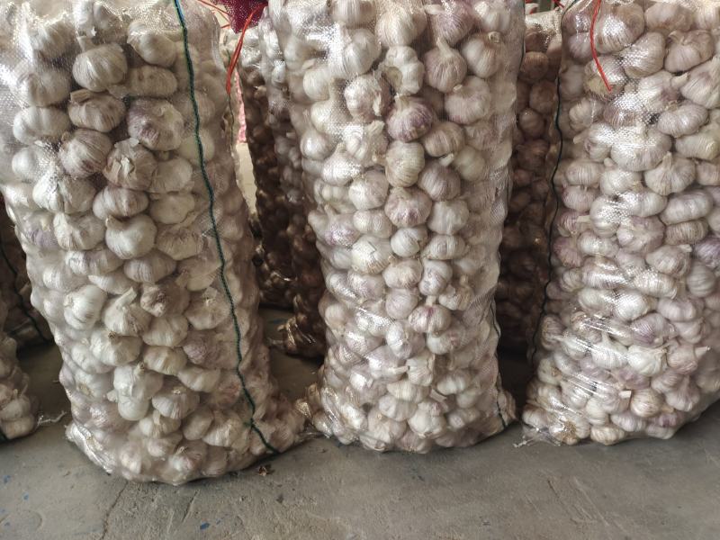 紫皮大蒜电商平台社区团购适用大蒜可承接大小包装一站式服务