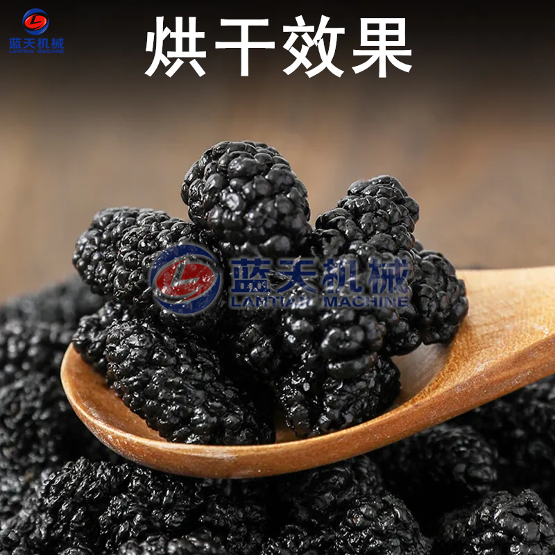 小型桑葚烘干机空调式桑椹子干燥机桑蔗桑枣桑葚果烘干箱