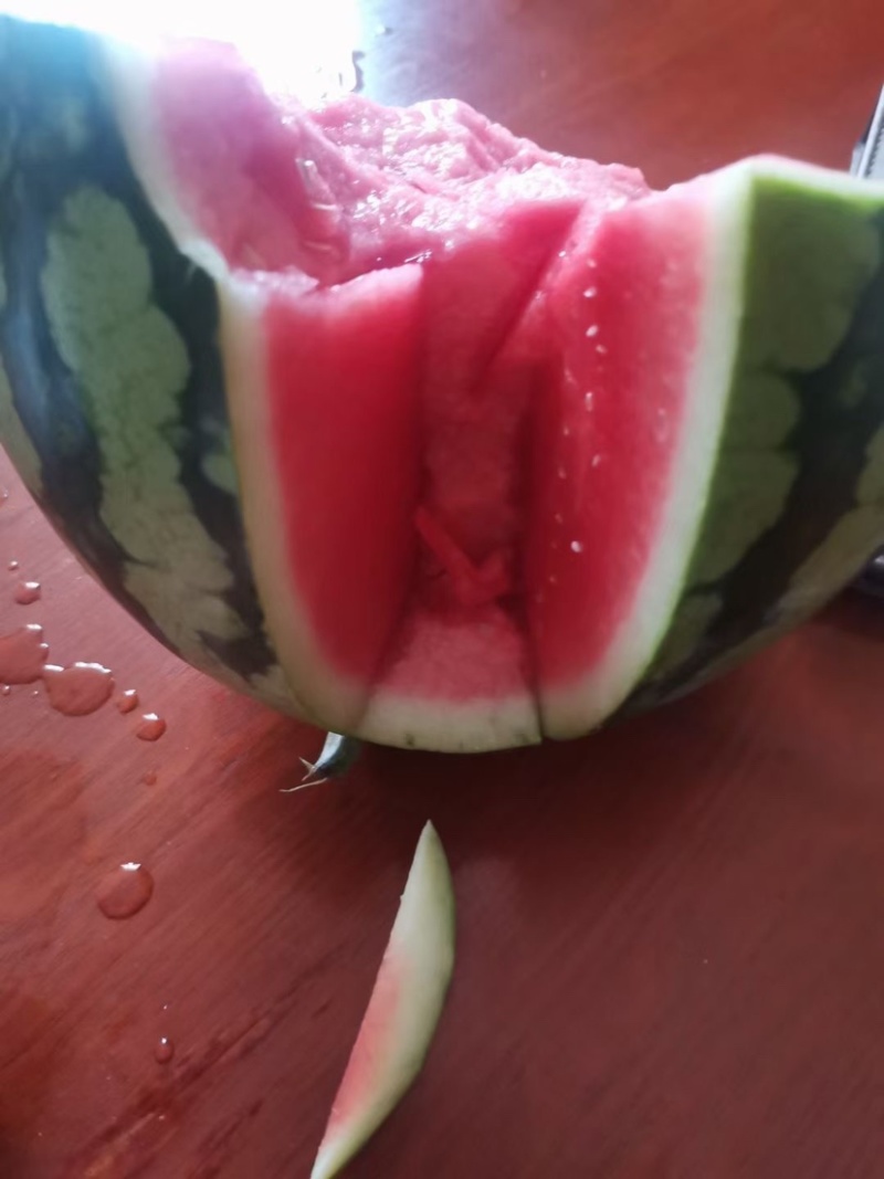 夏邑美都个大包甜新鲜上市一茬瓜欢迎咨询1