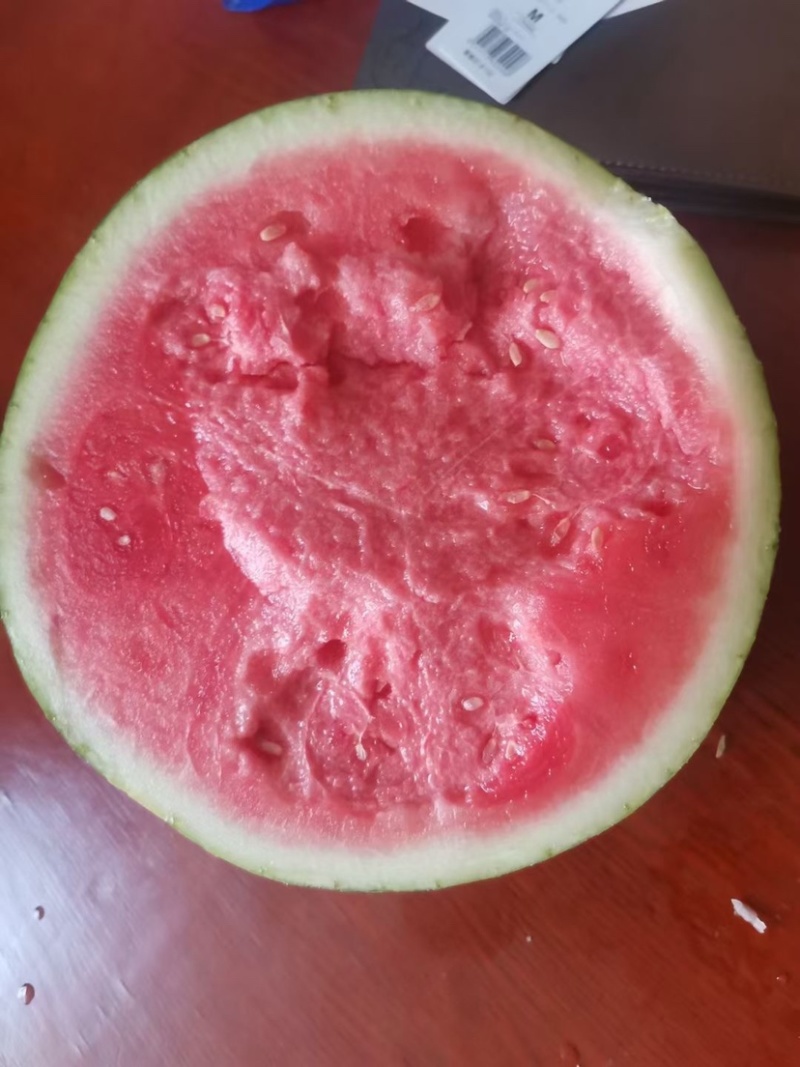 夏邑美都个大包甜新鲜上市一茬瓜欢迎咨询1