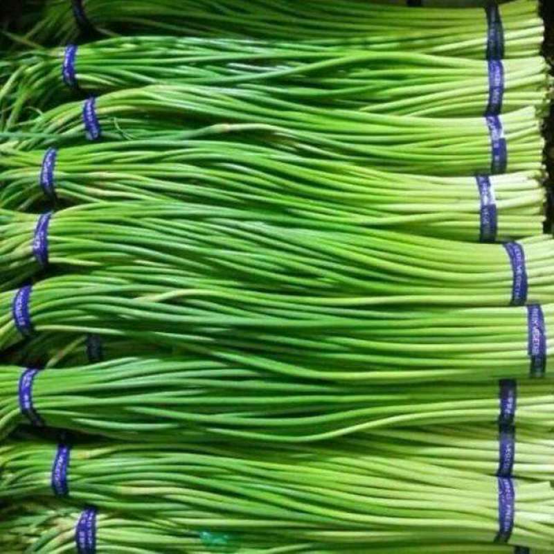 金乡红帽蒜苔白帽蒜苔可代收发市场大量有货