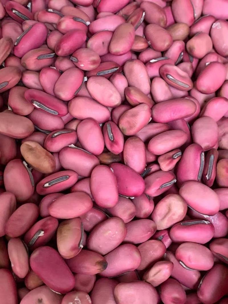 红刀豆【包邮】三斤起发货可批量可零售量大从优