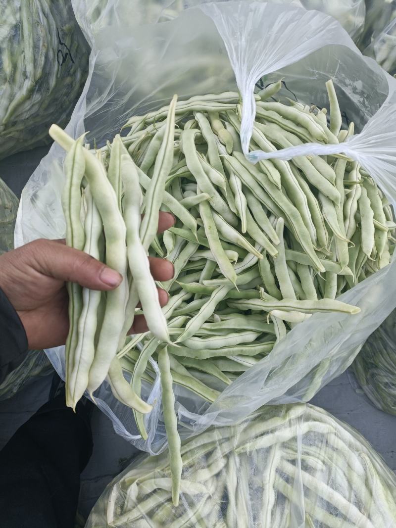 芸豆