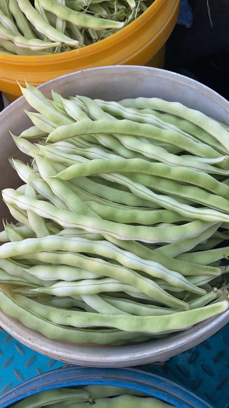 芸豆