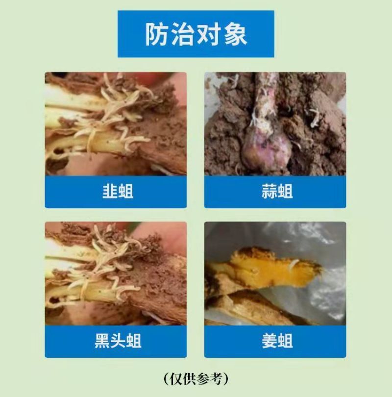 28%虫螨腈噻虫胺杀虫剂韭菜韭蛆灌根比赛尔悬浮剂