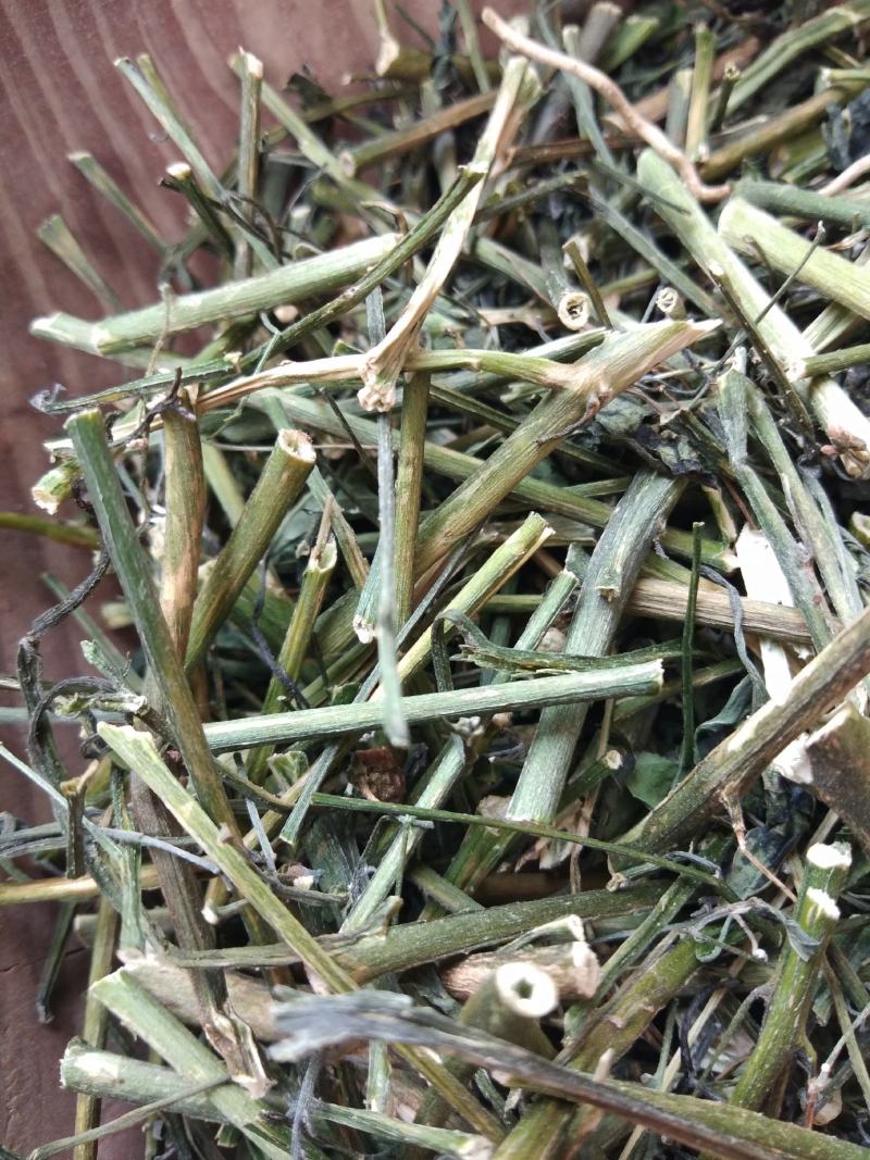 龙葵草中药材龙葵天茄子野生龙葵黑天天龙葵新货晒干500g