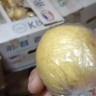 蜜梨