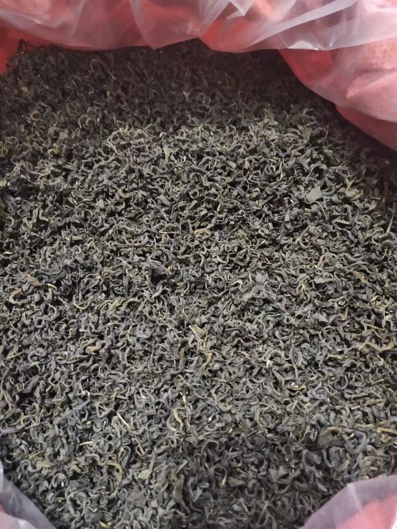 六堡，农家，春茶