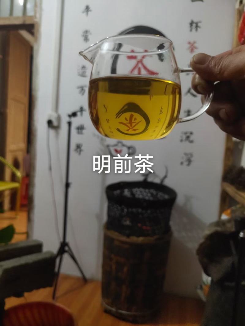 六堡，农家，春茶