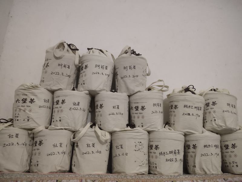 六堡，农家，春茶