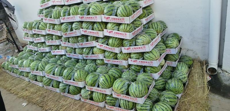 甜王、美都、8424大量市有需要的老板联系发电商和市场