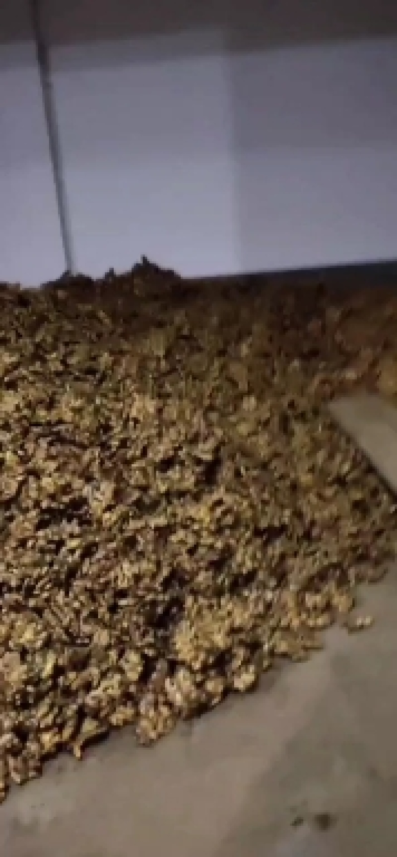 贵州二黄姜