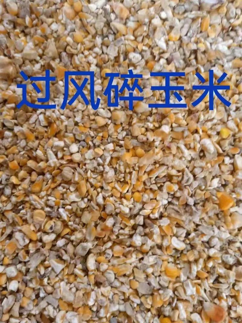 烘干塔下的毛粮碎玉米，6_9个料适用于鸡鸭鹅猪牛羊的养殖