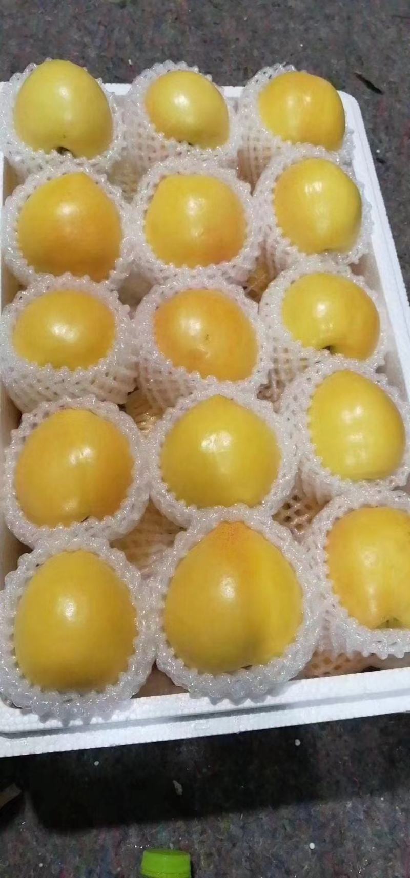 山东蒙阴精品黄金油桃大量供应产地直供量大从优