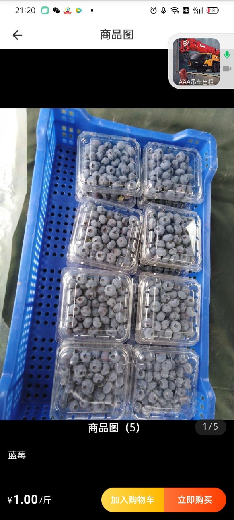 蓝莓原产地批发代办品质高