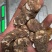 贵州野生重楼，七叶一枝花，别名独脚莲，干货，无流