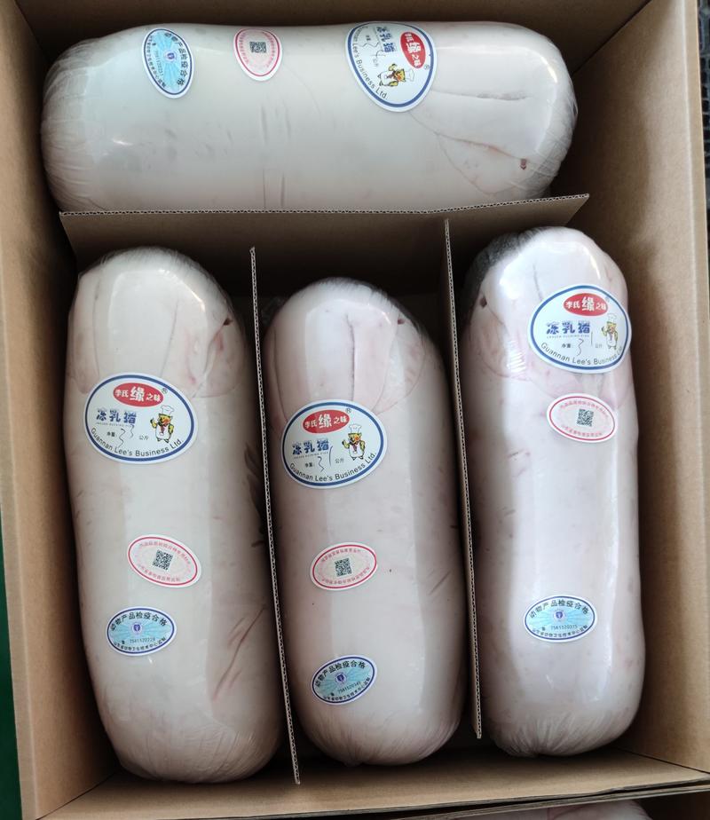 【精品】茶猪中猪鲜冻乳猪生鲜乳猪碳烤乳猪广式25-50斤
