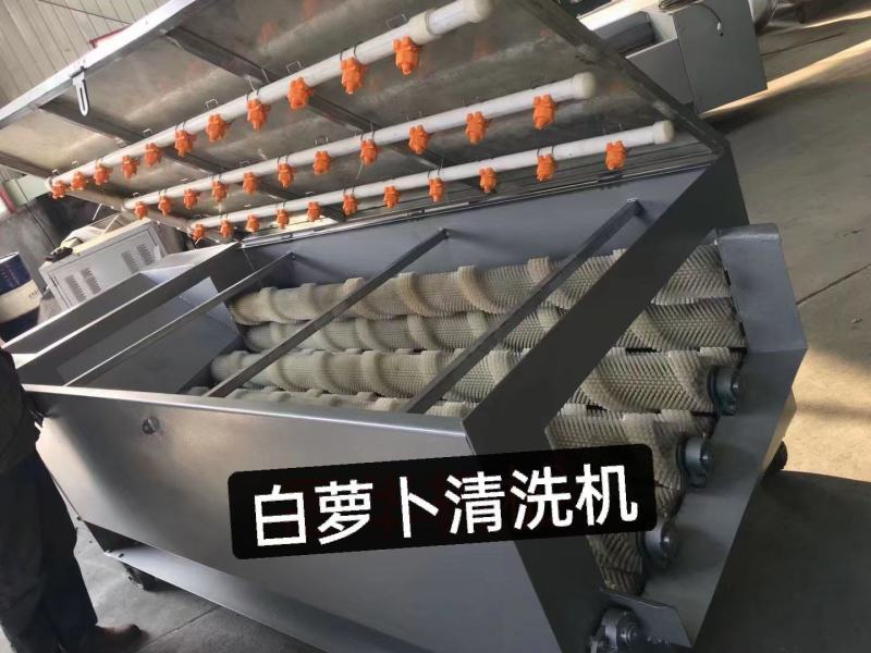 白萝卜清洗机，果蔬清洗设备厂家直发。