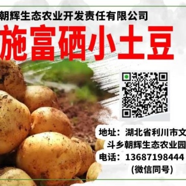 恩施富硒小土豆，大山里的美味