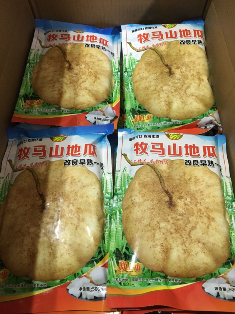 四川牧马山地瓜、凉薯种子。牧马山基地全国直销。