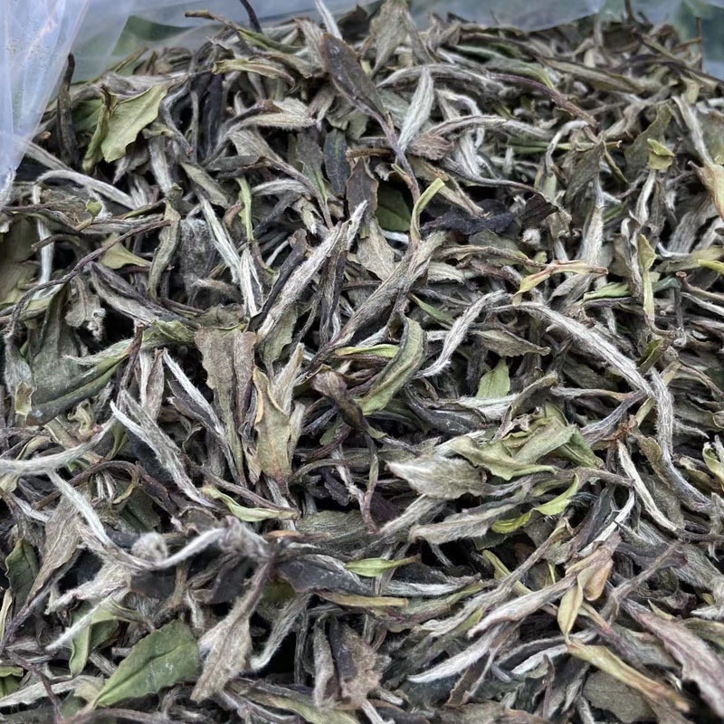 推荐白牡丹冰糖甜早春花香牡白牡丹批发好喝