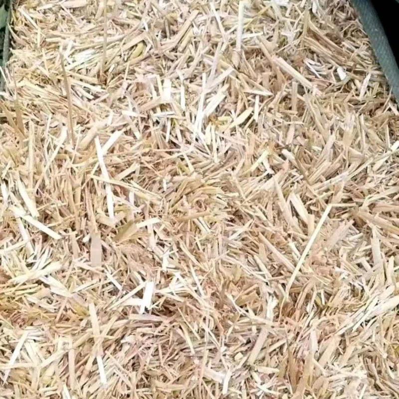 优质揉丝压块小麦秸秆无土无膜无霉变。3-5公分，35公斤