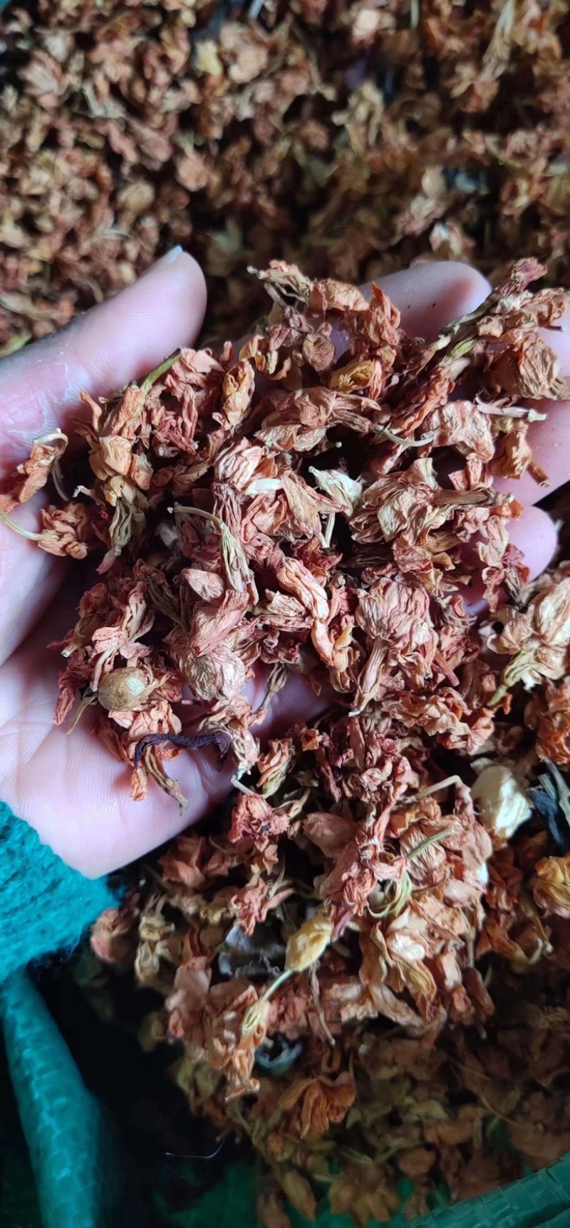 百花益寿茶养生茶甜叶菊罗汉果花山蜜草批发