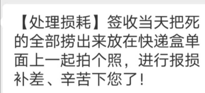 清道夫鱼金苔鼠鱼吃粪便垃圾除藻活体鱼观赏鱼热带清洁包邮工