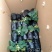 盆栽四季草莓带花带果发货……即可观赏又可使用