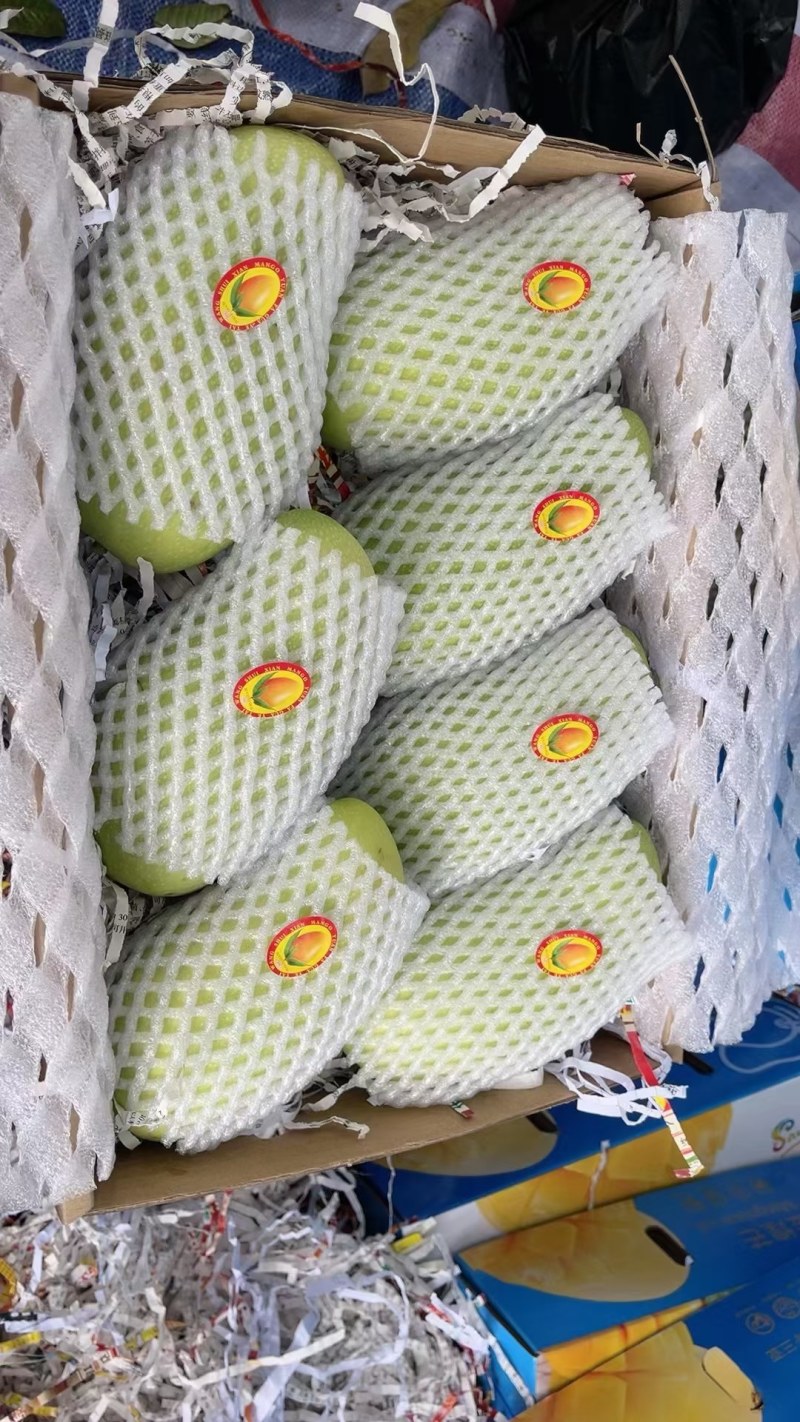 海南三亚金煌芒团购物流发货一件代发量大从优