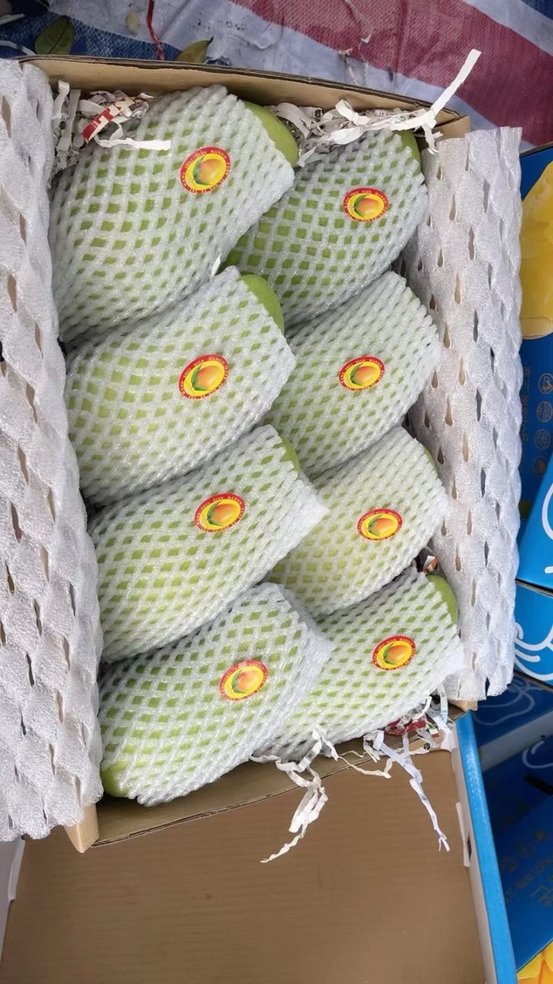 海南三亚金煌芒团购物流发货一件代发量大从优