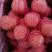 [推荐商家]红富士苹果产地，果园现采摘，口感脆甜常年供应