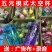 地摊太空杯地摊杯水杯摔不破塑料水杯库存太空杯批发塑料礼品