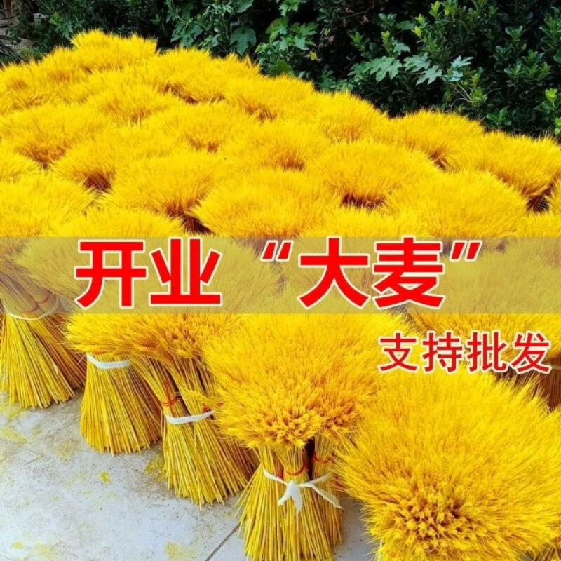 天然麦穗干花花束开业大麦田园装饰礼品干花真花麦子