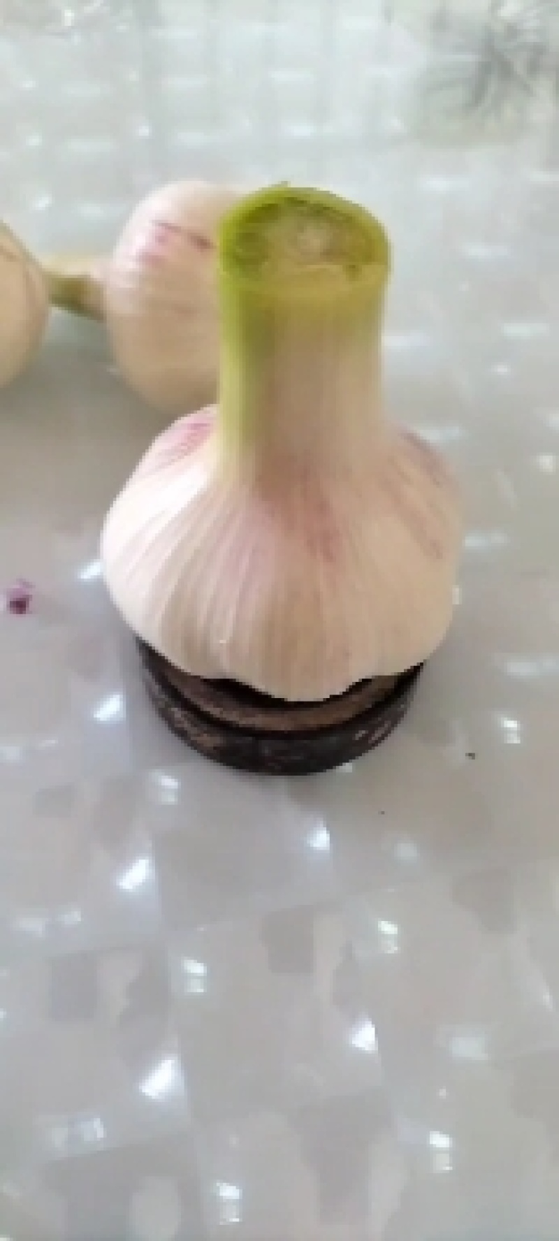 淮阳区。扒皮蒜，扎把蒜毛蒜，蒜苔大量上市中