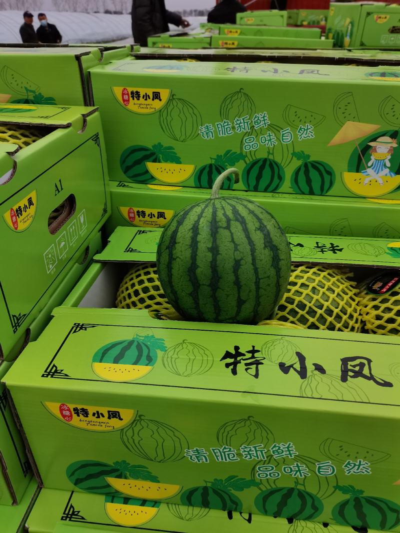 江苏东台，农友特小凤，万亩特小凤已上市，欢迎来电咨询