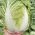 白菜大白菜