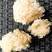 小白木耳古田银耳食用菌干货无熏硫产地批发多种规格，大货供